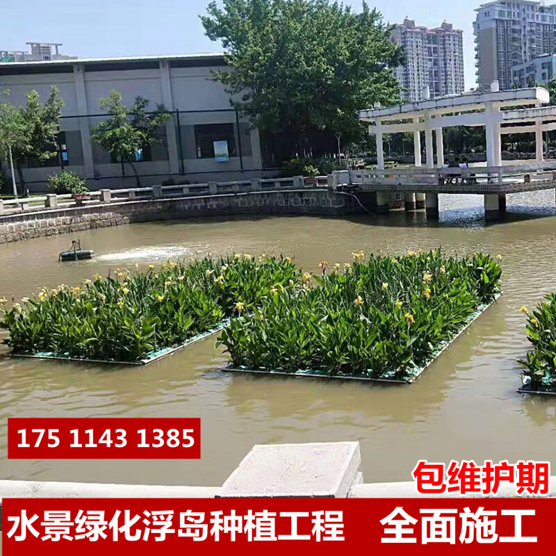 浮岛一平方【含植物】