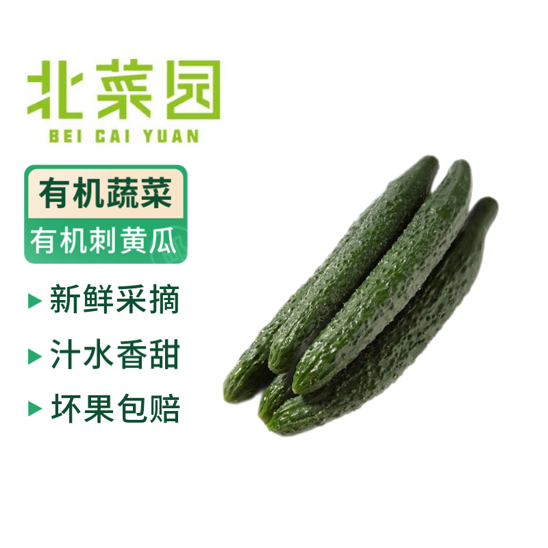 北菜园有机黄瓜300g刺黄瓜【进店多样加购】有机新鲜蔬菜