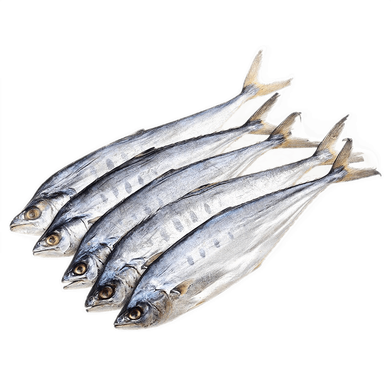 海产干货价格走势，选择Simaill旗舰店购买优质商品|南北干货京东历史价格