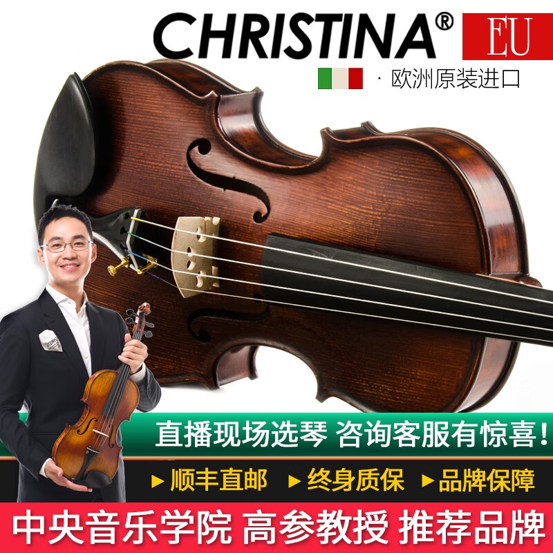 克莉丝蒂娜Christina欧洲原装进口小提琴EU3000B手工专业演奏考级进阶成人学生初学乐器 EU3000B 4/4身高150cm以上