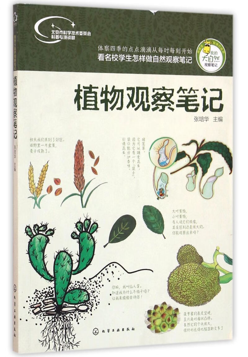 植物观察笔记/我的大自然观察笔记
