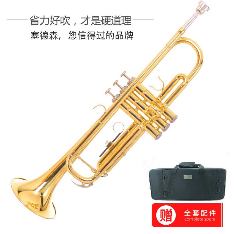 塞德森（SAIDESEN） 降B调小号乐器初学专业演奏 蒙乃尔活塞号 金色版STR-100怎么看?