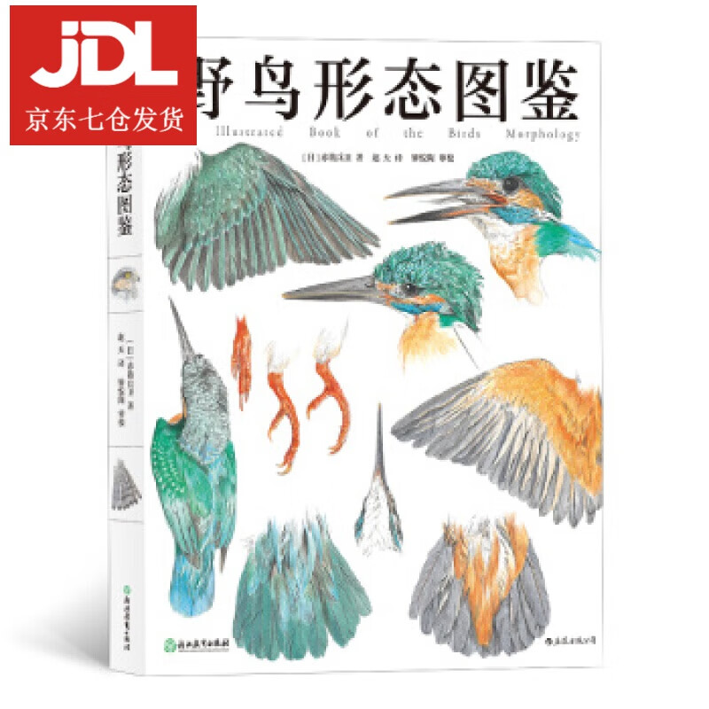 野鸟形态图鉴 [日]赤勘兵卫,赵天 9787553679624