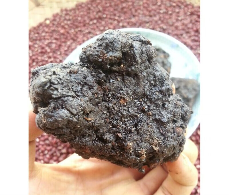 醉俊 猴结 血灵芝 脂 500克 图片色  图片色