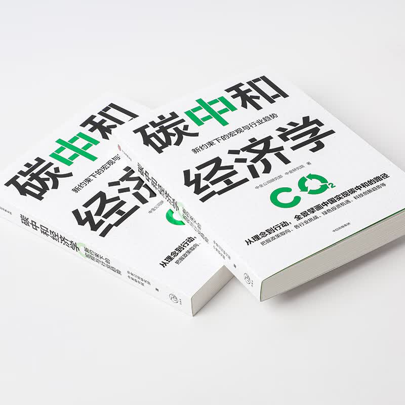 碳中和经济学 新约束下的宏观与行业趋势 图书