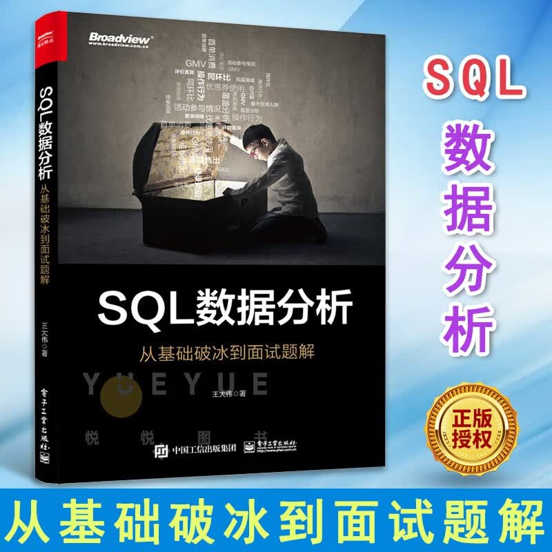 SQL数据分析:从基础破冰到面试题解 王大伟
