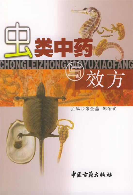 虫类中药与效方