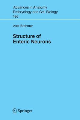 预订 structure of enteric neurons