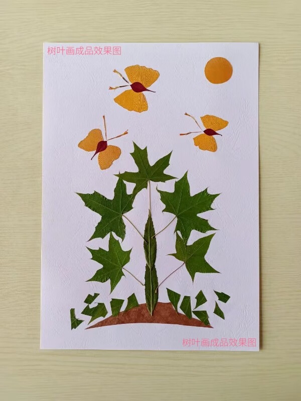 保环境树叶 胶水 镊子 卡纸 a4