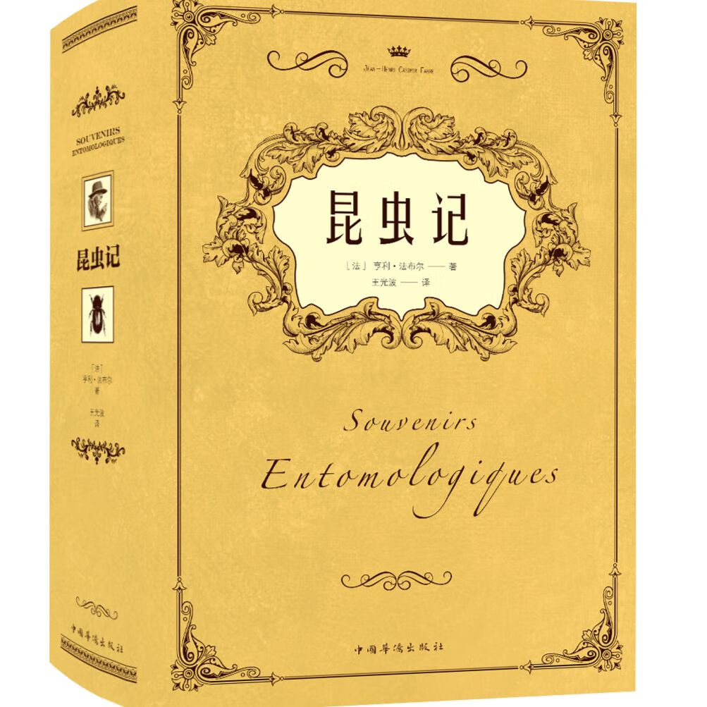 昆虫记 亨利·法布尔图解动物青少年中小学生课课外读物书籍 昆虫记