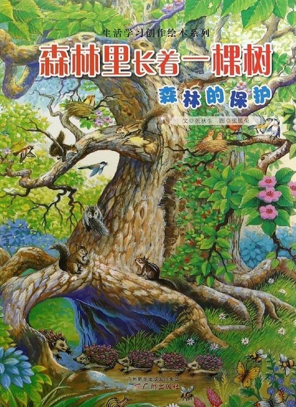 生活学习创作绘本系列:森林里长着一棵树 森林的保护 张秋生 广州出版