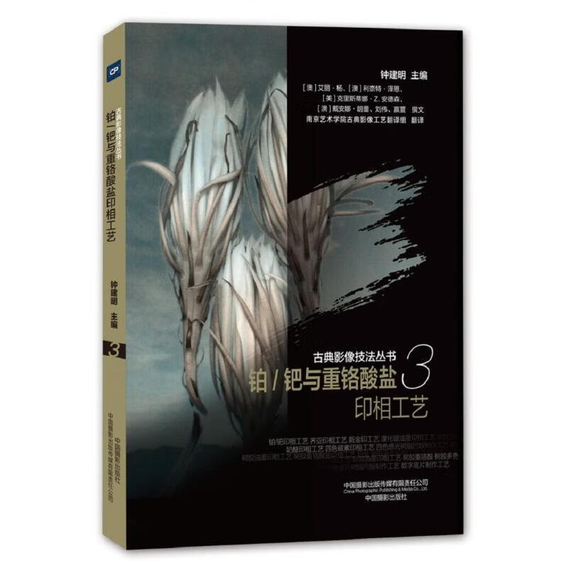 铂/钯与重铬酸盐印相工艺/古典影像技法丛书