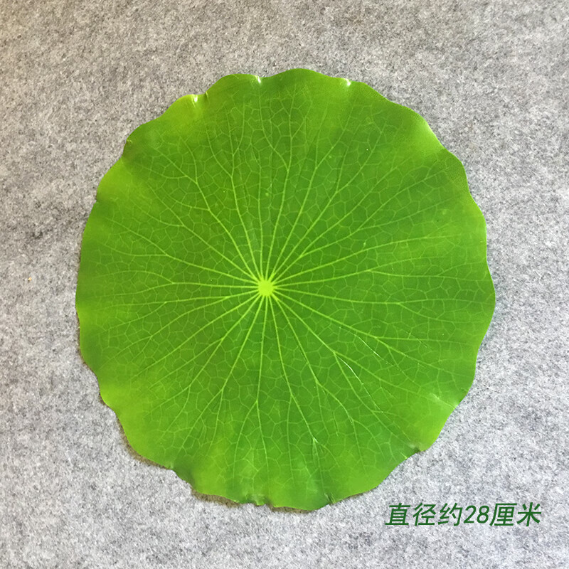 曲美思仿真假荷叶装饰单片绿叶餐厅菜肴摆盘大片莲叶子塑料芭蕉叶水果