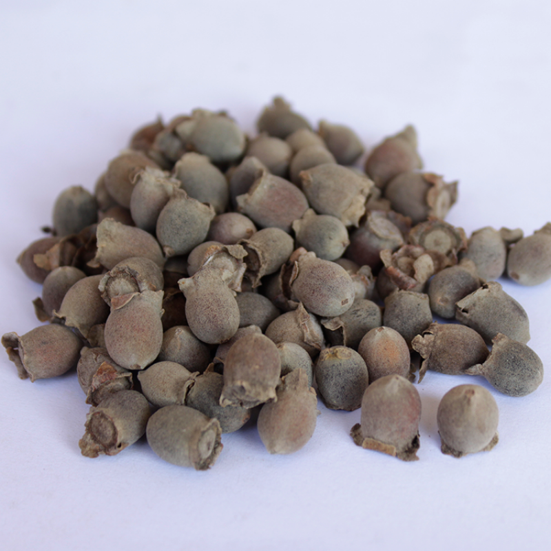 味巴哥广西山稔子果桃金娘新货晒干山稔子岗稔籽干岗捻子泡酒料