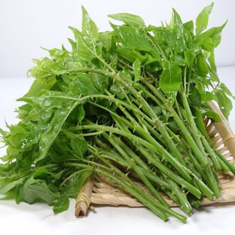 四川新鲜野菜白刺尖:勒菜苦刺菜簕菜苦刺心白簕鲜嫩三加叶 白刺尖1斤