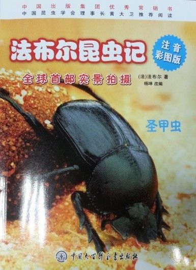 圣甲虫9787500092407