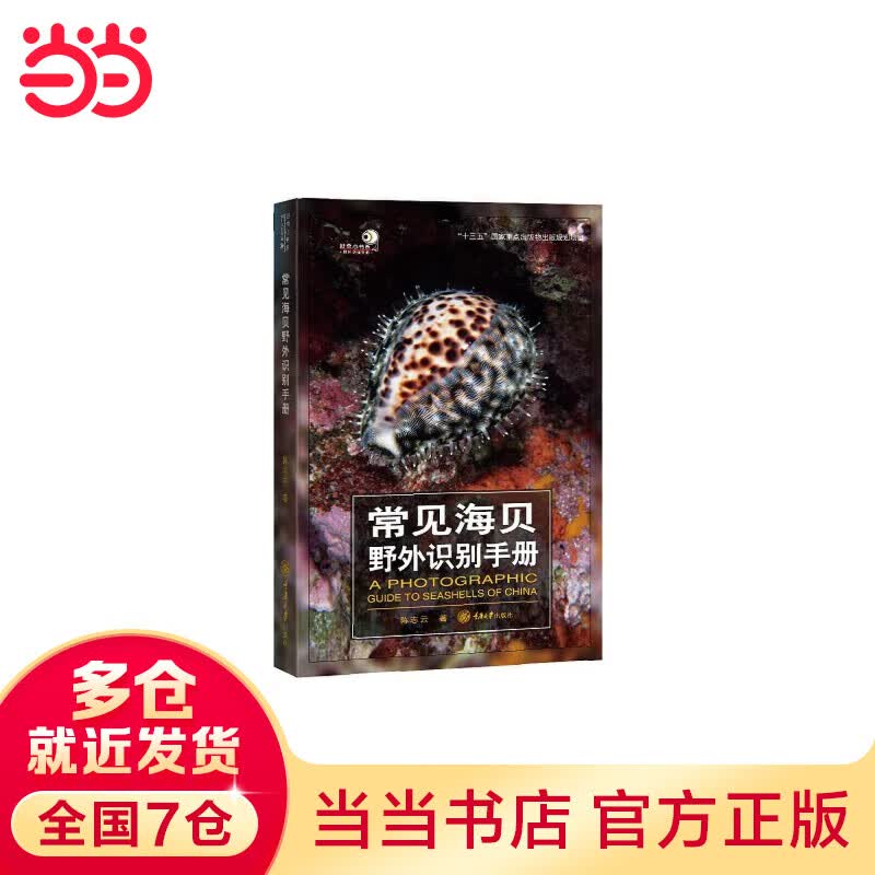 常见海贝野外识别