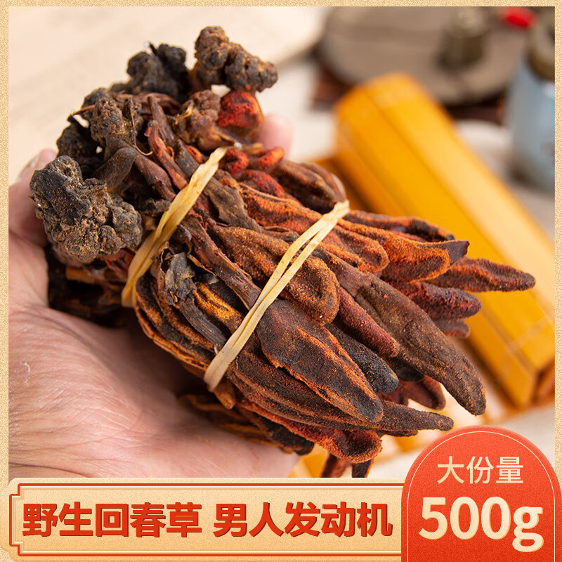 回春草野生云南新鲜不老草顶天柱男性泡水酒中药材 野生回春草100g