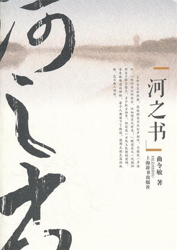河之书 曲令敏 著