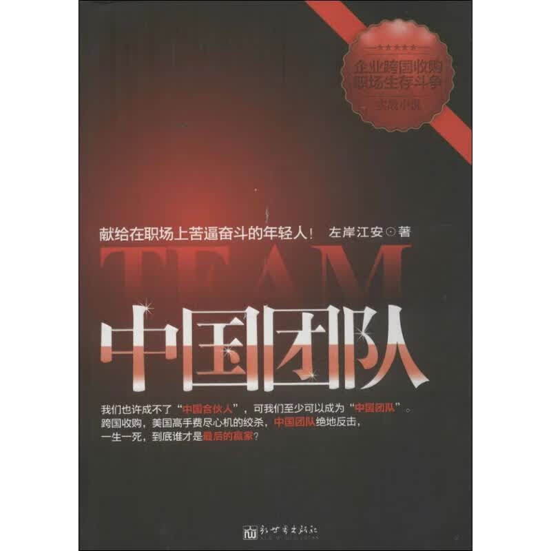 中国团队 左岸江安著【正版】