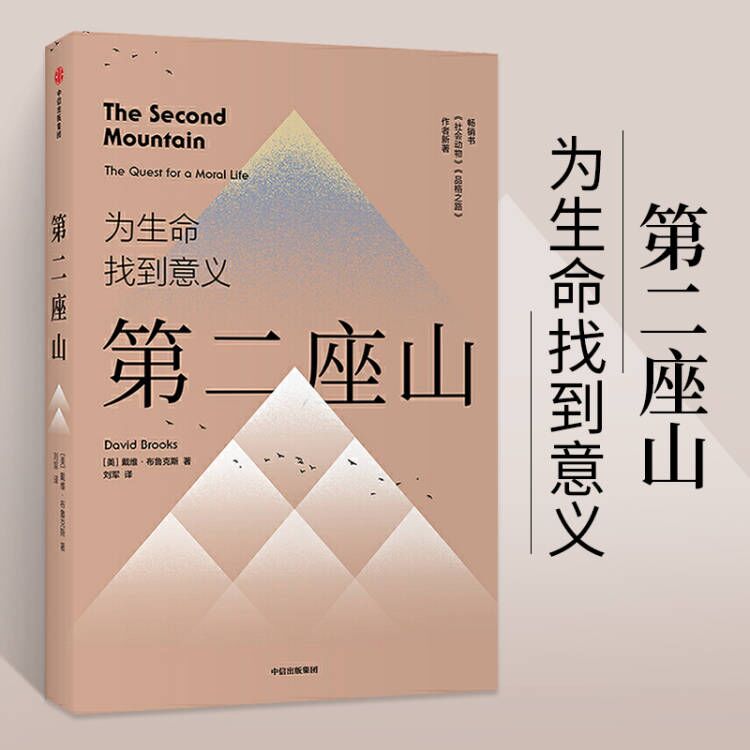 第二座山 戴维布鲁克斯 著 纽约时报书作者作品 追寻人生价值的第二座