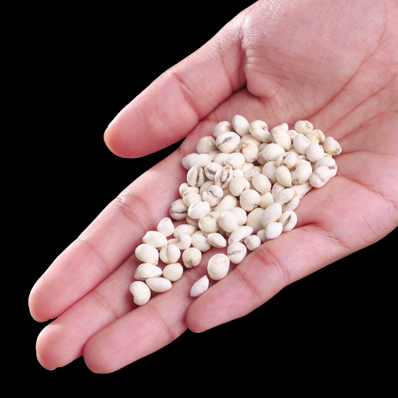 北京川贝母中药官方川贝母中药材川贝粒干川贝粉正宗野生