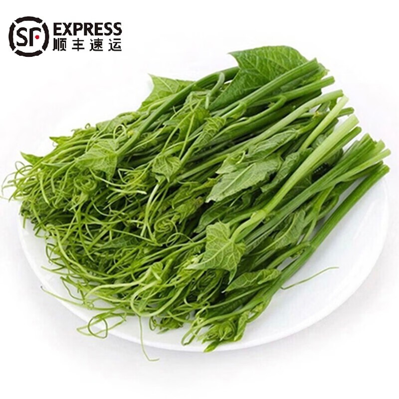兮柔【顺丰空运】新鲜洋瓜尖 龙须菜 2斤装 云南特产现摘鲜脆香嫩农家