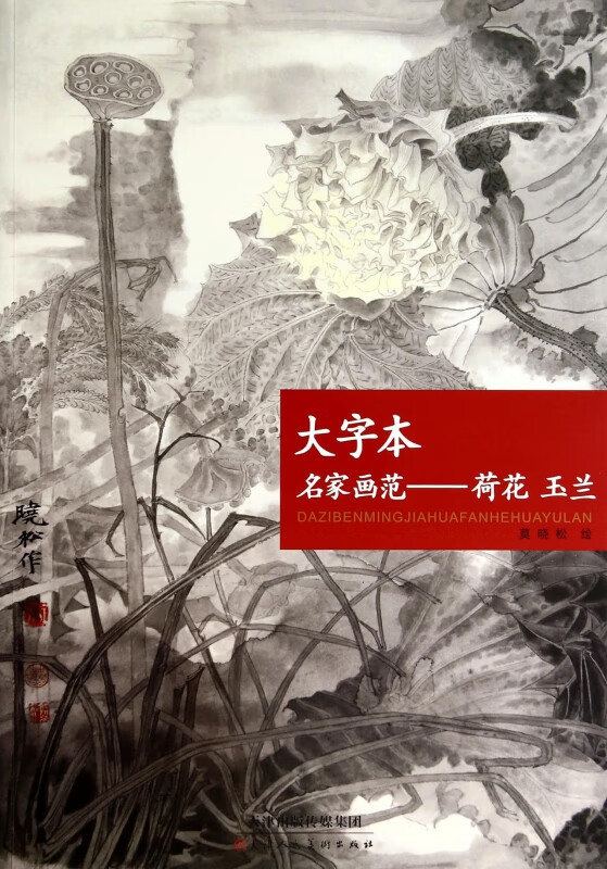大字本名家画范--荷花玉兰
