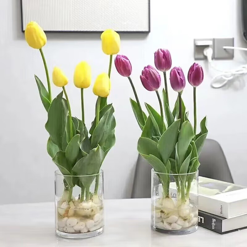 京东可以看婚庆节庆历史价格吗|婚庆节庆价格走势图