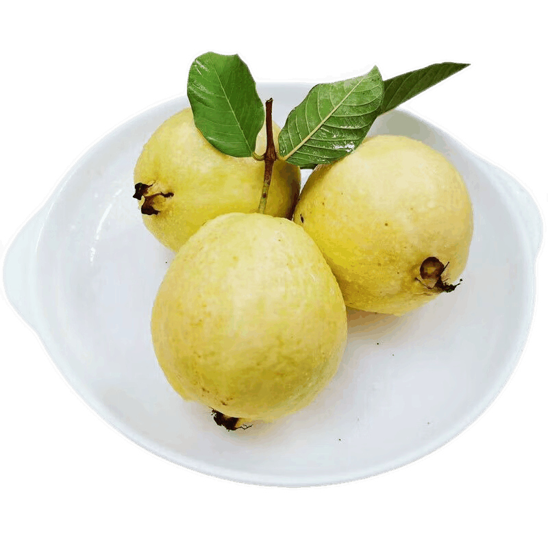 ˹GEWOSIƽͰֱŴʯиˮʺ 5ƽͰ֡ 32Ԫ