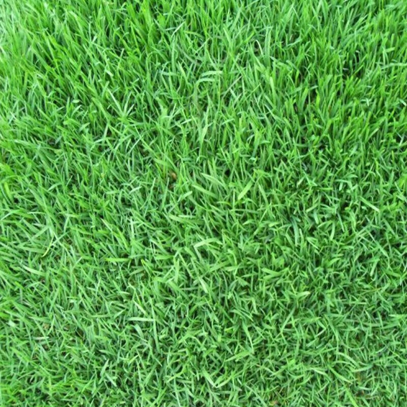 花草林木类低价历史查询|花草林木类价格走势图