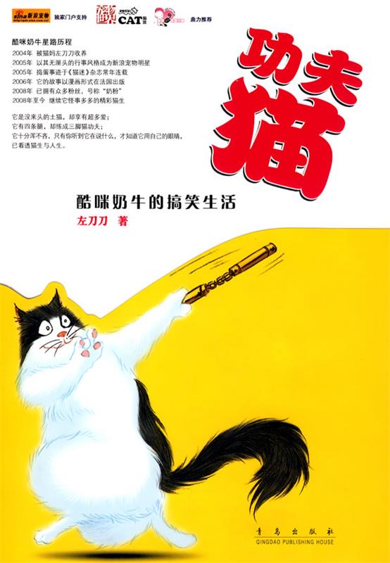 yr功夫猫【好书,下单速发】