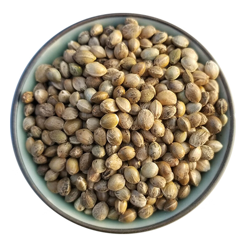 火麻仁 广西火麻仁籽食用火麻籽火麻子 火麻仁100克【精选】