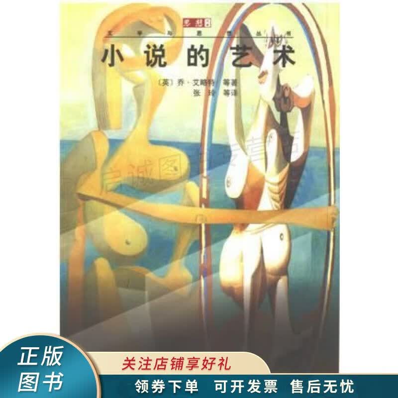小说的艺术