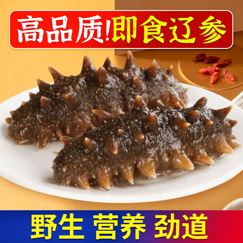 三只海豚 即食海参单个装500g 大连海参辽刺参 野生辽刺参 一星精选500（13-20只）