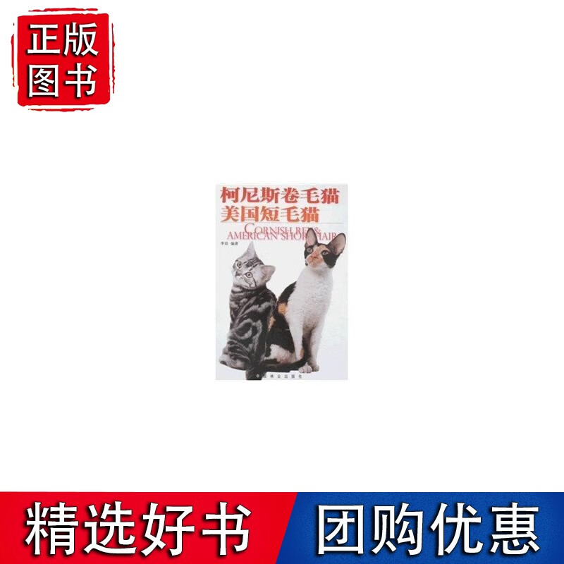 柯尼斯卷毛猫.美国短毛猫