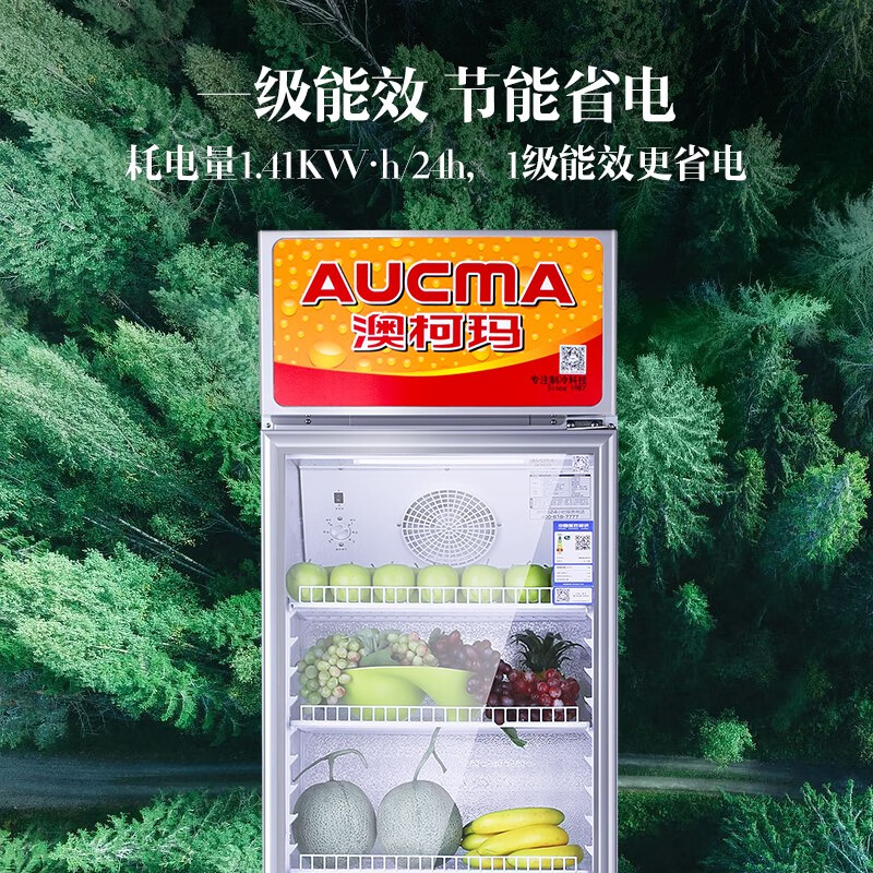 澳柯玛（AUCMA） 227升立式单门商用冷藏冰箱展示柜 超市饮料啤酒保鲜冷柜 冷饮茶叶陈列冰柜 SC-237