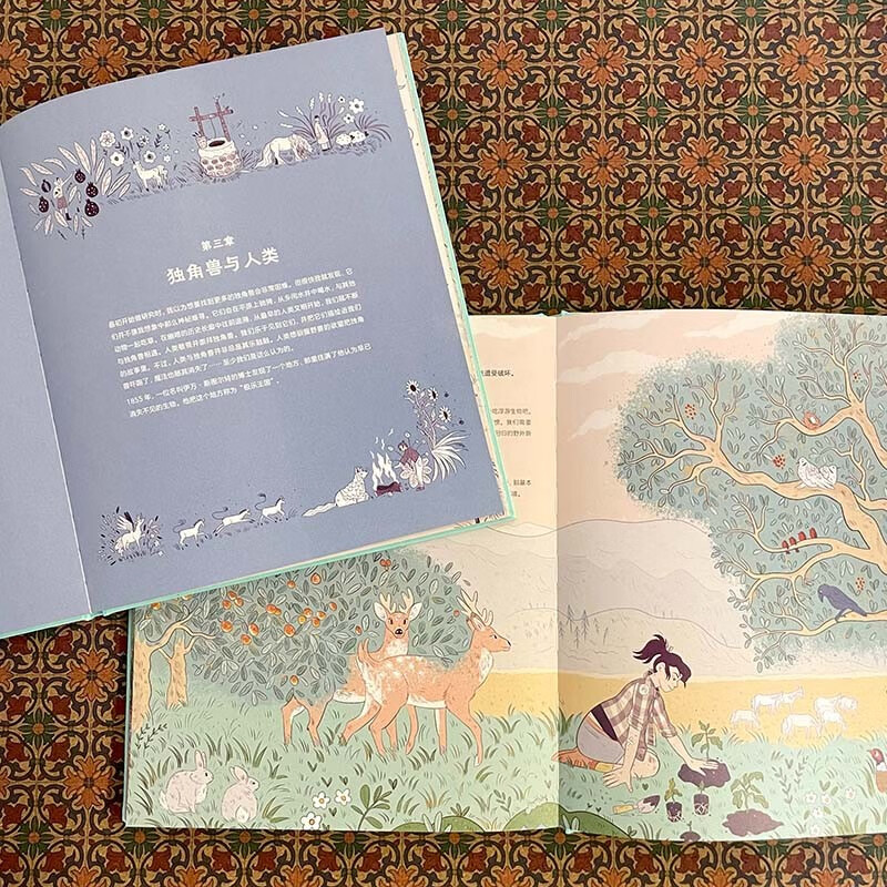 关于独角兽的几乎全部真相