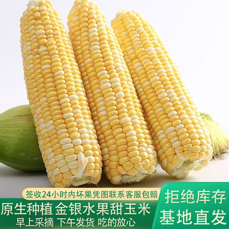 美果汇云南现掰金银水果玉米甜玉米棒子粘苞谷米新鲜蔬菜 3斤精选装