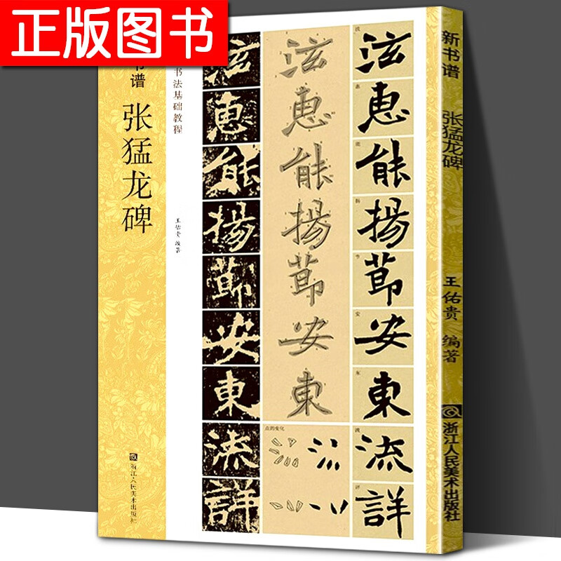 张猛龙碑 新书谱中国书法基础教程 魏碑字帖 张猛龙原碑帖精讲 高清笔画书技法教程章法结构集字创作入门临摹行楷书毛笔书法教材程
