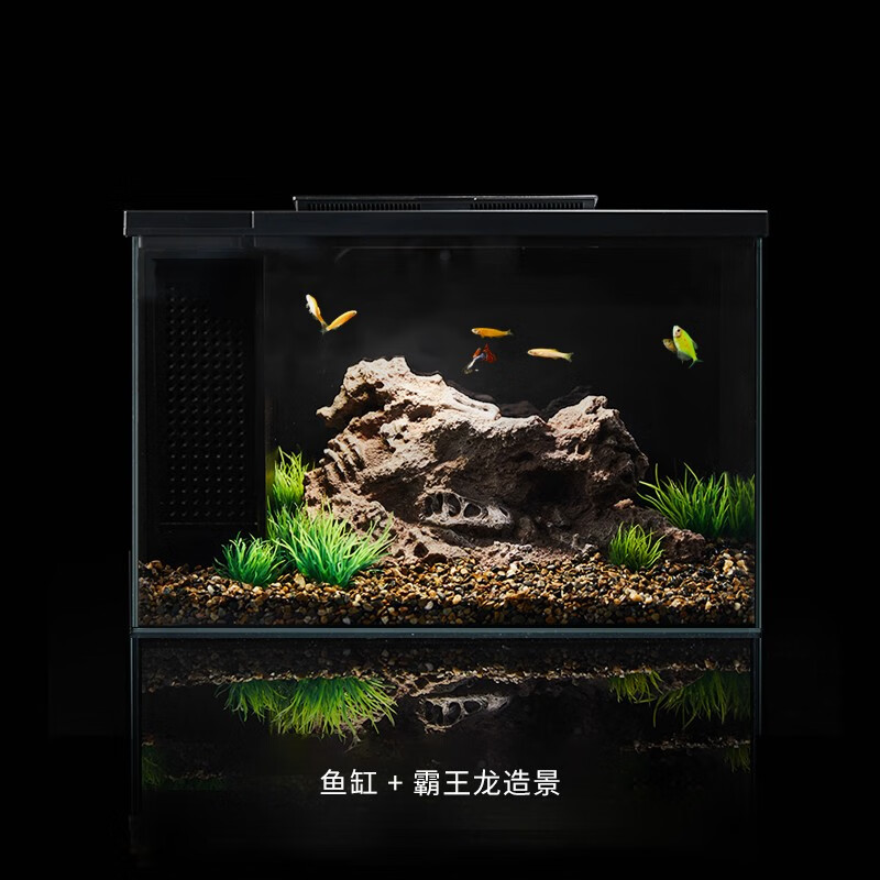 彻底了解下小佩智能鱼缸质量怎么样，谁来分享使用心得
