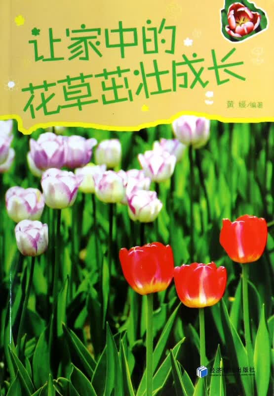 让家中的花草茁壮成长