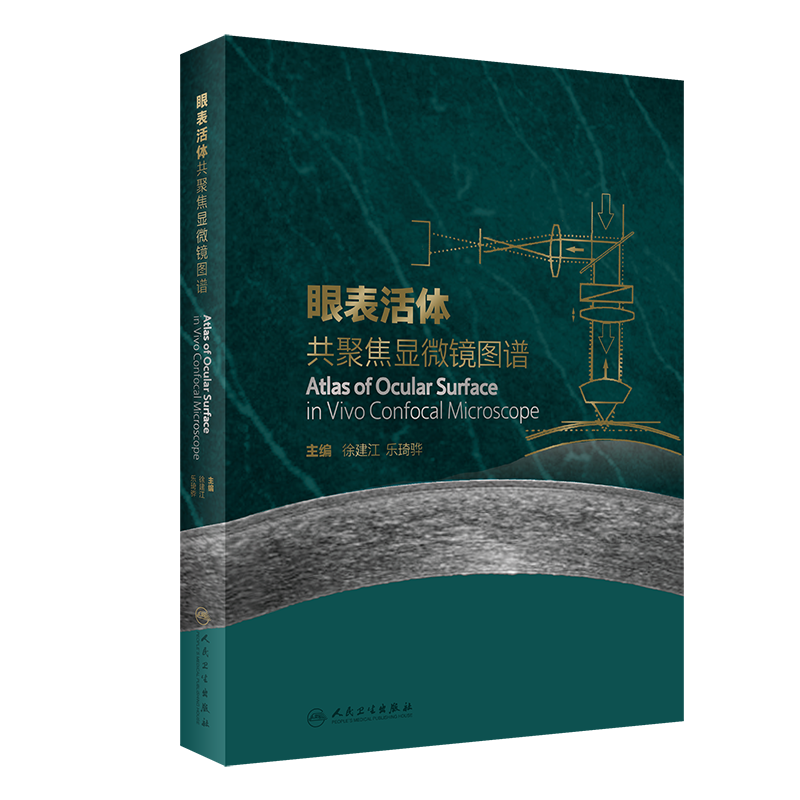 眼表活體共聚焦顯微鏡圖譜