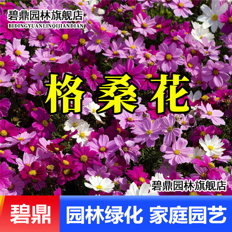 网购花草林木类历史价格走势|花草林木类价格走势图