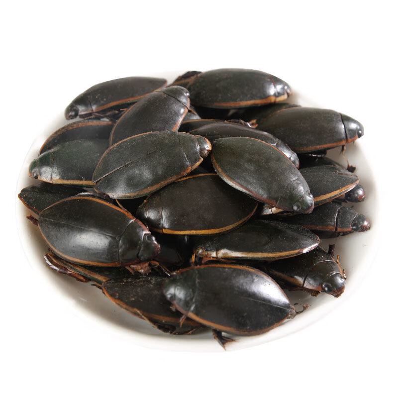 晒干龙虱 中药材金边龙虱 龙狮 另有龙虱粉水鳖虫射尿龟 50克