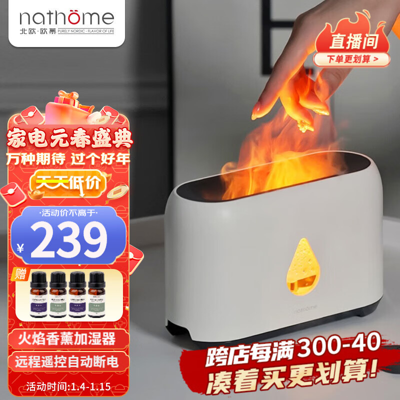 北欧欧慕（nathome） 香薰机仿真火焰加湿器卧室家用办公室夜灯桌面迷你低噪空气增湿机送好友礼物 冰川白 NJH18