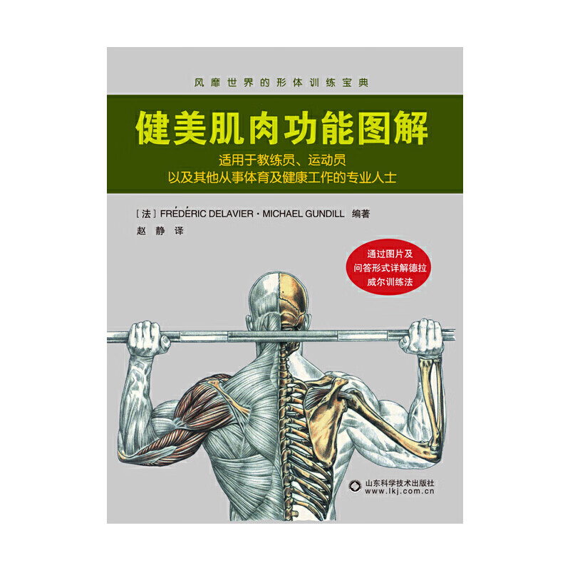 健美肌肉功能图解