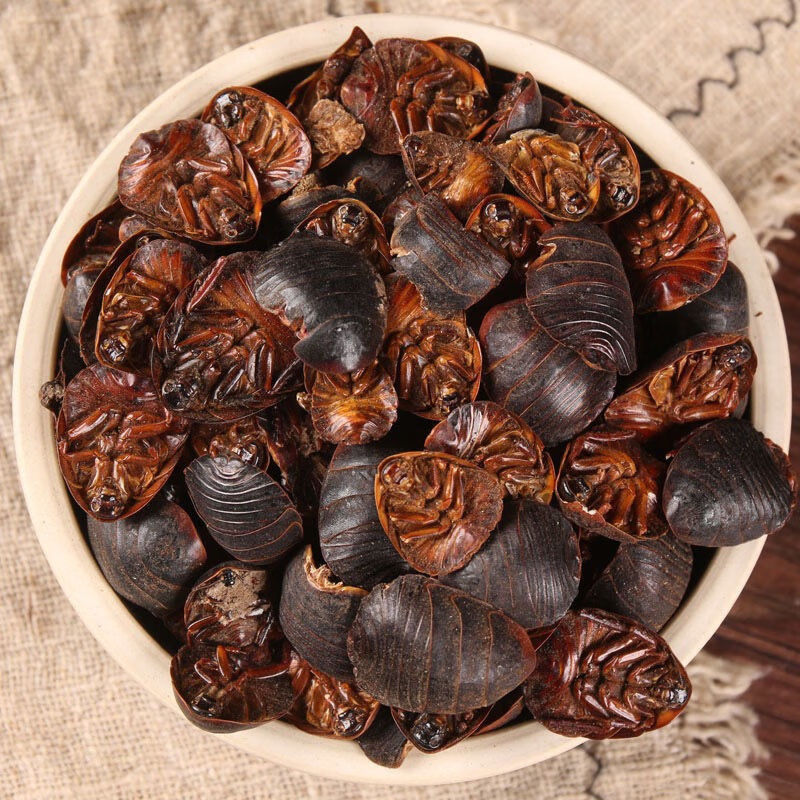 土元新干货中药材地鳖虫 金边水洗无土土元虫 土鳖虫