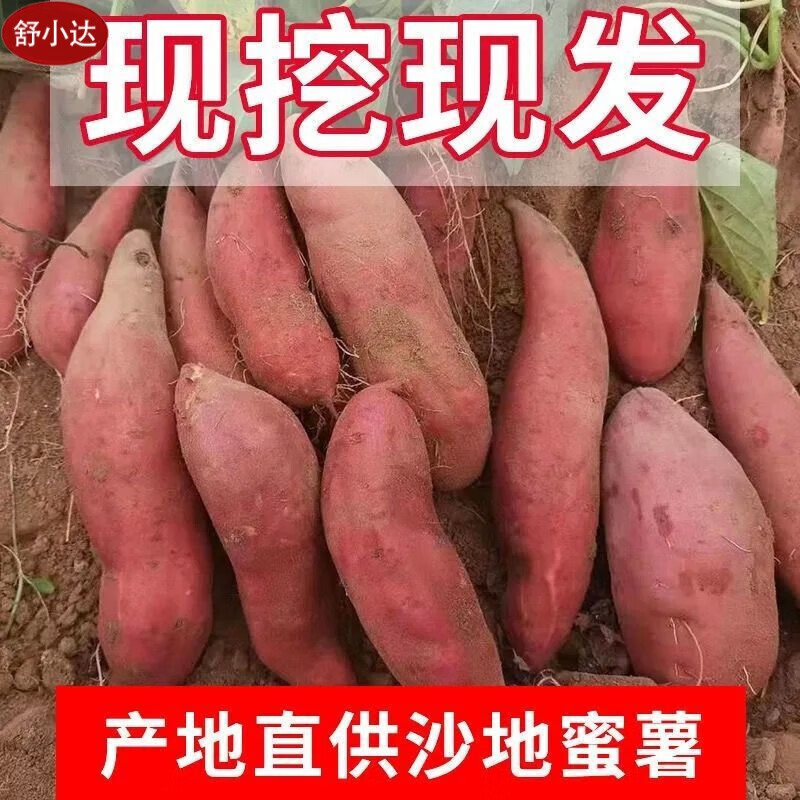 【现挖现发】地瓜红薯新鲜西瓜红心蜜薯超甜糖心番薯山芋 5斤