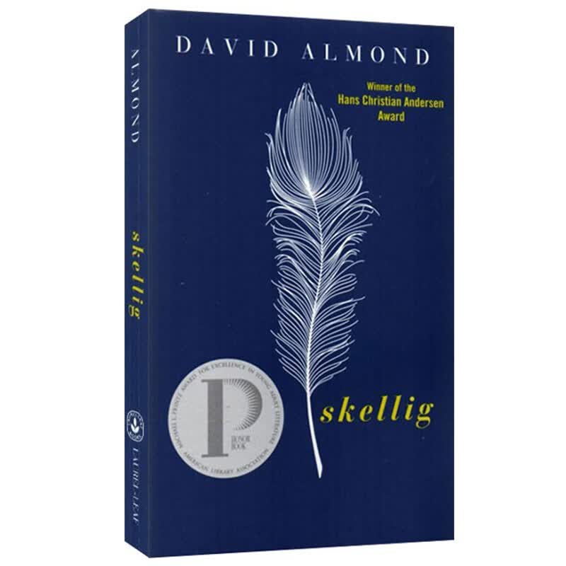 英文原版 Skellig 当天使坠落人间 David Almond 普林兹文学奖小说 中小学生课外兴趣阅读 青少年英语阅读提高 . 绿山墙图书